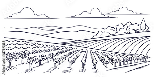 Finger Lakes vineyards minimal linear art