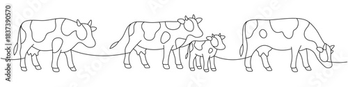 Four cows and calf. Minimalist group composition of rural livestock family