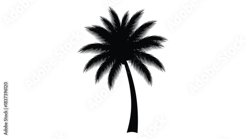A solitary black silhouette of a palm tree against a white background