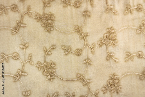 Beige Chiffon Fabric Texture with Modern Golden Floral Embroidery