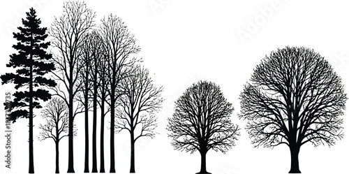 Winter trees silhouettes collection collection of various deciduous and coniferous trees silhouettes without leaves