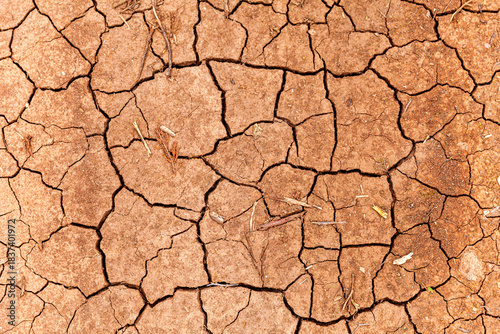 Dried Out