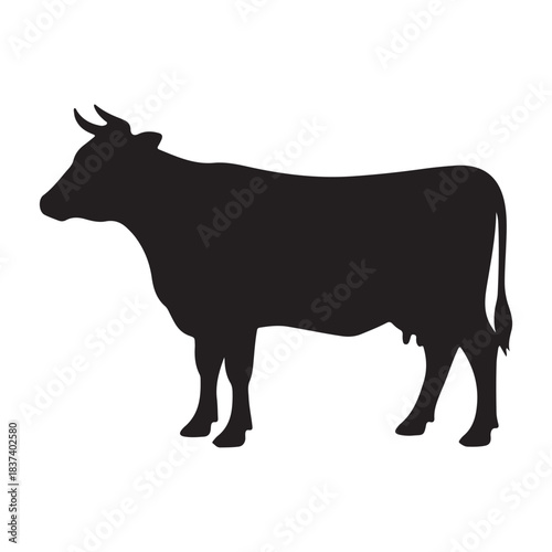 Black and white cow and bull silhouette vector illustration
