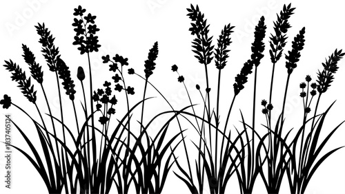 Very beautiful collection of delicate grass and wildflower silhouettes arranged gracefully on crisp white background, emphasizing natural shapes, botanical elegance, and minimalist style for decorativ