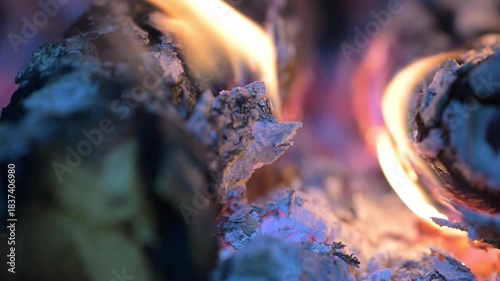 wood fire that warms with its warm flame