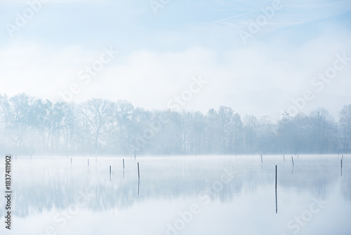 Misty Morning on the Lake with Distant Trees, Poland, natural wallpaper or background