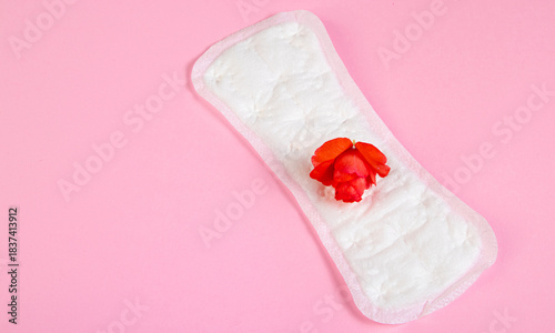 Sanitary pad and red flower on pink background. Menstruation and womens health concept.
