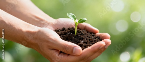 A pair of hands gently holds a small green seedling emerging from rich soil, symbolizing growth and nurturing nature.
