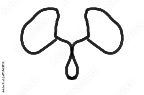 Minimalist black rope art forming abstract shape suggesting lungs or playful animal face against bright white