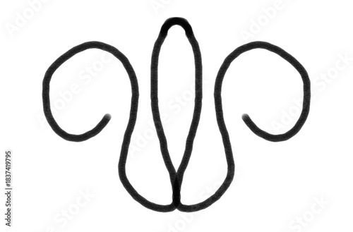 Elegant minimalist black brush stroke flourish design element perfect for sophisticated branding and decoration