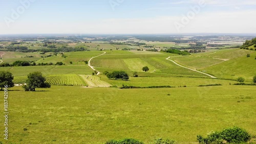 Green Hills With Vineyards, Jura Region, France
