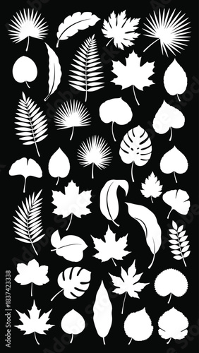Diverse Botanical Leaf Silhouettes Collection .