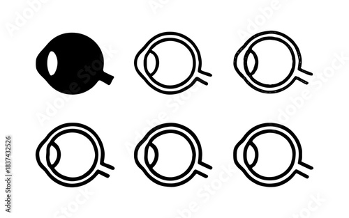 Eye anatomy icons set: monochrome linear styles for medical design