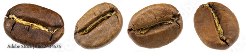 High-detail photograph of aromatic roasted coffee beans in sharp macro focus