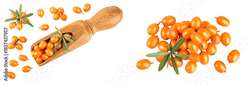 Sea buckthorn in wooden scoop. Fresh ripe berry with leaves isolated on white background. Top view with copy space for your text