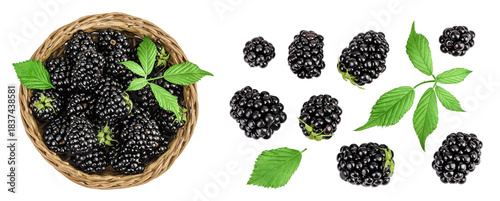 blackberry with leaf in in a wicker basket isolated on a white background. Top view. Flat lay