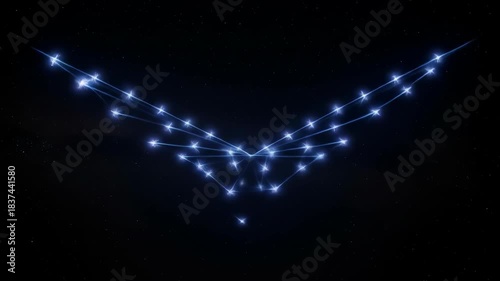 Plexus constellation of soaring wings in cool cerulean and cosmic black, symbolizing digital flight, network, and futuristic vision