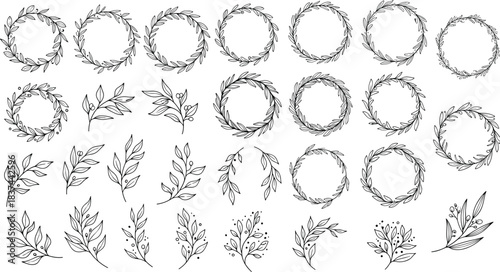 Botanical wreath branch collection, black white sketch, leaf berry floral elements, decorative nature frame set, flat vector illustration
