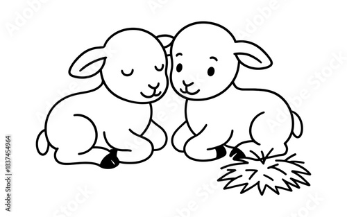Cute lambs in minimal line art style resting peacefully in nature