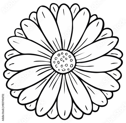 Hand Drawn Simple Black Outline Flower Petals Art for Coloring Book Design