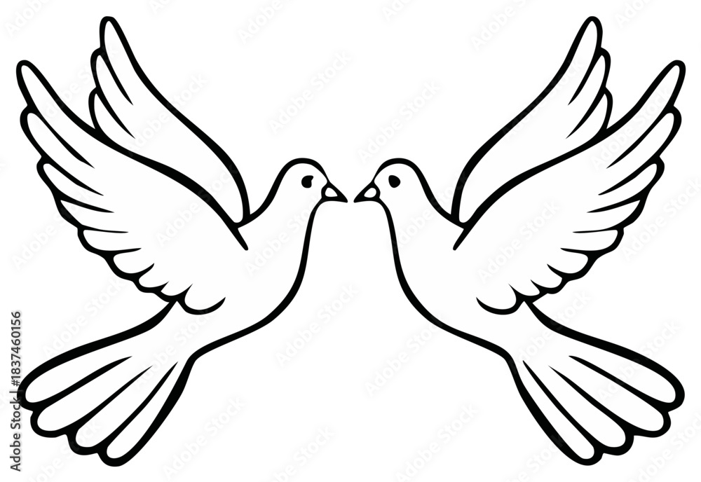 Obraz premium Two elegant doves in flight with wings spread approaching each other.