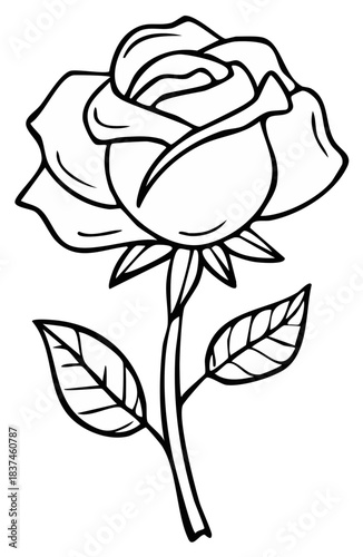 Rose Drawing Isolated On White, Simple Elegant Line Art Rose With Stem And Leaves