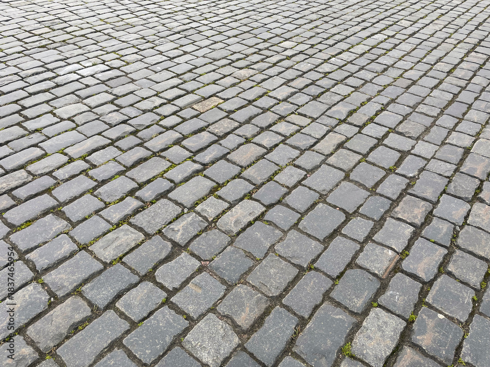 Fototapeta premium Abstract background. Old cobblestone pavement closeup