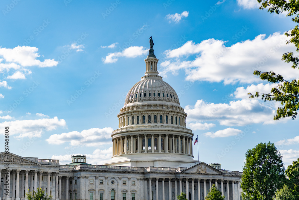 Naklejka premium Capitol building. The Capitol building in Washington. Architecture view on dome with column. Famous Capitol in Washington DC. Washington DC landmark. Senate and House in Washington DC