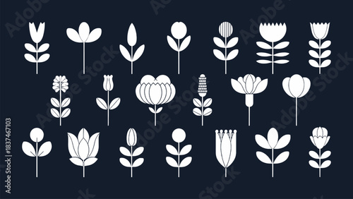 Minimal floral icon set with clean botanical shapes and elegant modern white flower illustrations on dark background