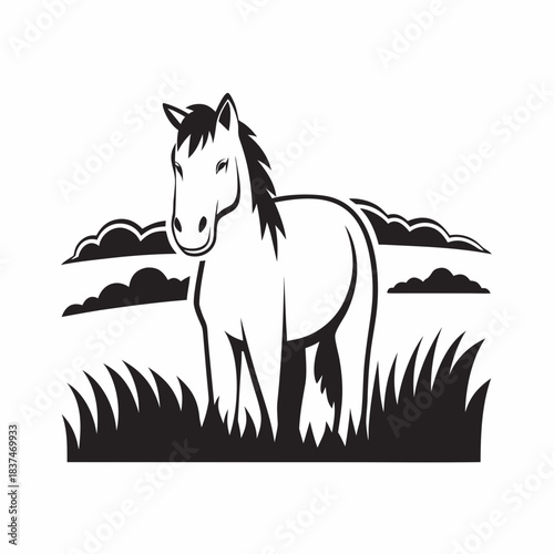 Black and white horse in grass field with clouds for retro posters, equestrian branding, rural prints, vintage websites, farming education, and minimal countryside visuals
