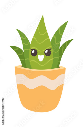 Funky cute succulent flower pot