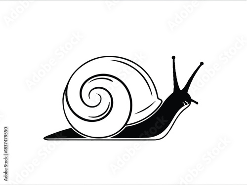 Elegant black and white snail illustration on a clean white background.
