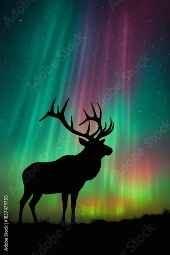 An elegant deer silhouette under vibrant aurora borealis, a magical dance of light in the night sky.  Nature's grandeur at its finest!