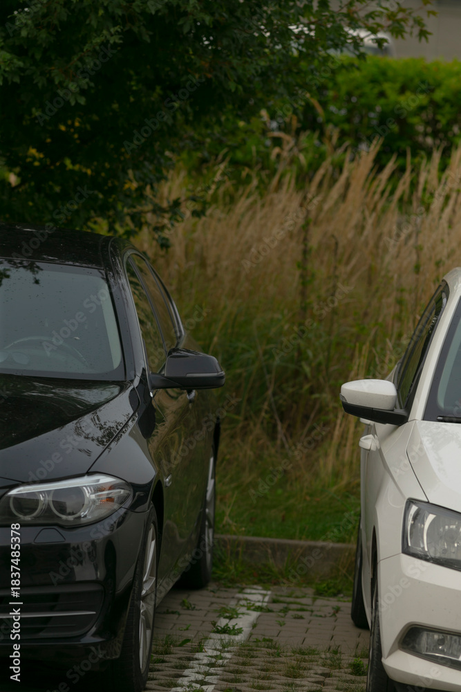 Obraz premium Contrast cars adjacent to decorative flora and paved walkway scene, Complementary black and white automobiles positioned beside ornamental greenery on suburban outskirts during summer evening