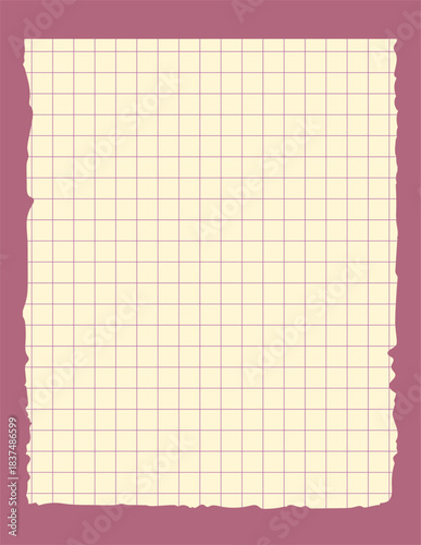 Graph paper. Printable lined and squared grid paper with color lines. Geometric background for school, textures, notebook, diary. Ripped aged paper blank.