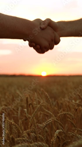 Handshake, joint work of people. Partners agreed concluding deal, sign of consent to shake hands. Business people shake hands outdoor in sun. Business teamwork. Male farmers shaking hands, wheat field