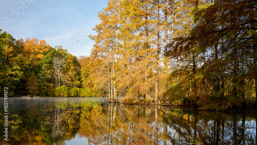 Cypress trees gracefully reflecting on a serene lake in Illinois during autumn, showcasing a vibrant tapestry of colors beneath a clear blue sky and the soft whispers of nature