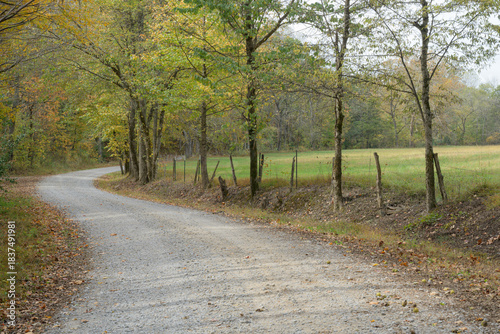 Winding gravel lane surrounded by lush trees leads through a tranquil forest beside an open field in the heart of Illinois' midwestern landscape during a serene autumn afternoon