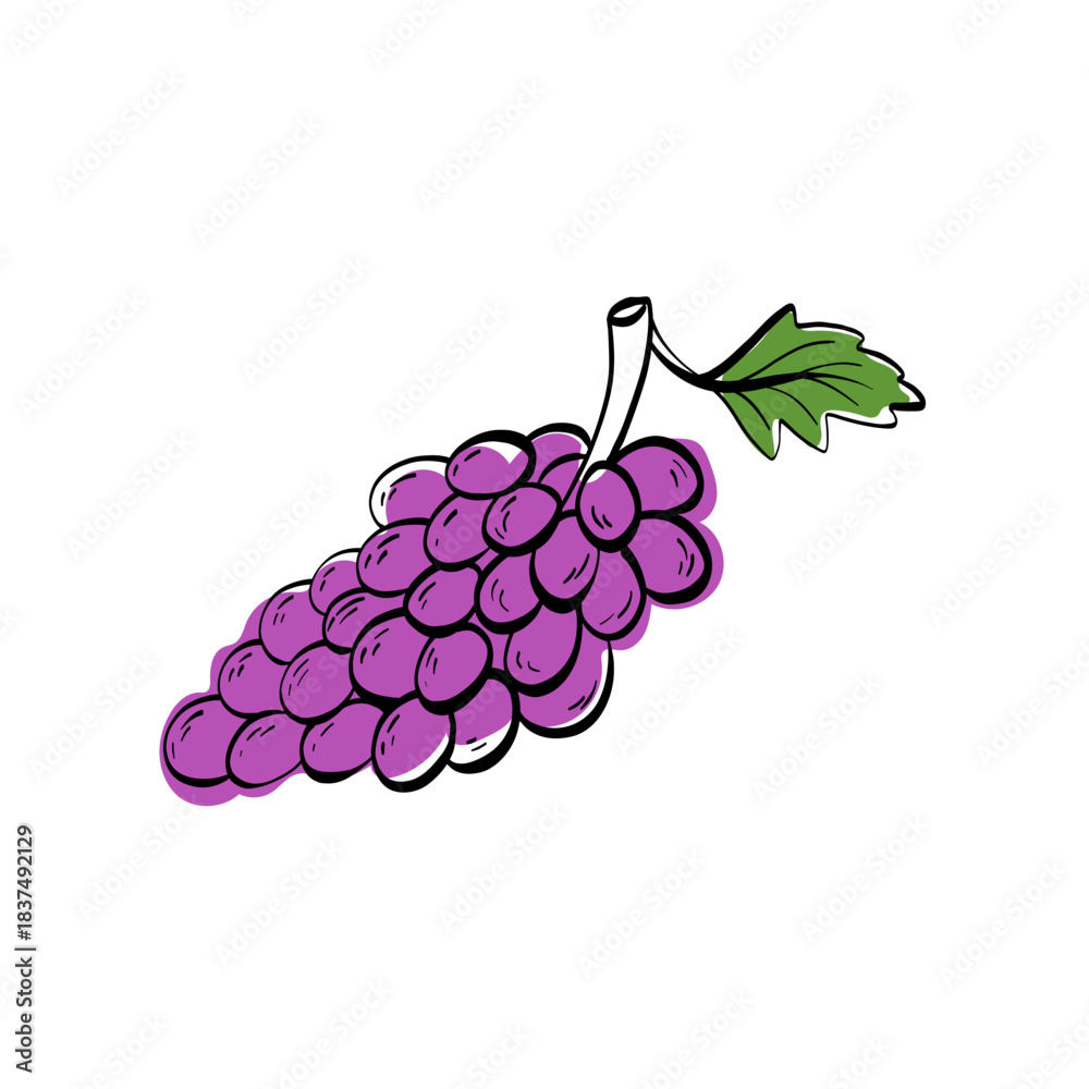 Fototapeta premium Minimalist grape bunch illustration with clean linear shapes and a fresh purple accent. Works well for wine labels, vineyard branding, menus, packaging