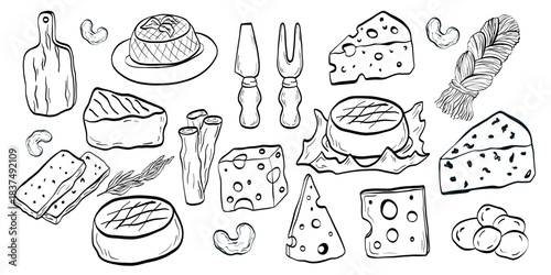 Cheese party and dairy set, gouda, brie, chechil, cheddar, parmesan, camembert. Perfect for menus, packaging, recipes and gourmet food projects