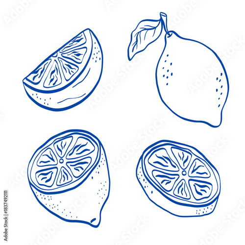 Lemon illustration set with whole fruit and sliced pieces, drawn in clean bold line-art for fresh food and summer-themed designs. Perfect for packaging, stickers and recipe graphics