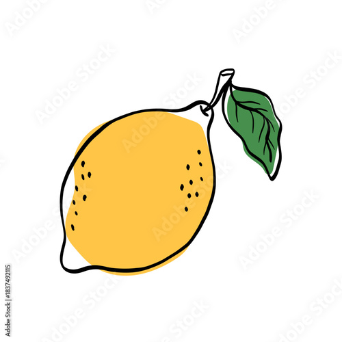 Lemon illustration, drawn in clean bold line-art for fresh food and summer-themed designs. Perfect for packaging, stickers and recipe graphics