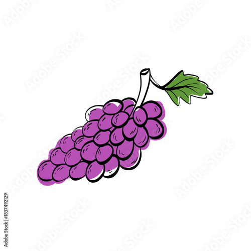 Minimalist grape bunch illustration with clean linear shapes and a fresh purple accent. Works well for wine labels, vineyard branding, menus, packaging