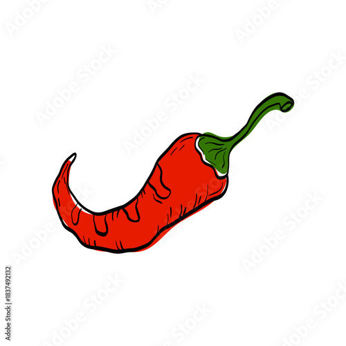 Spicy red chili pepper illustration with clean outlines and bold shapes. Hot paprika for menus, food packaging, hot sauce labels, and spicy recipe designs