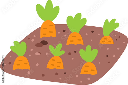 Nursery or seed bed icon with carrots. Vector garden, farm or Easter village sprouted plants isolated on white background. Flat spring vegetable illustration