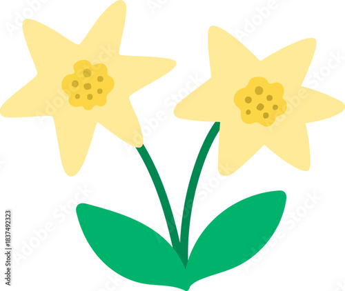 Vector narcissus icon. First blooming plant illustration. Floral clip art. Cute flat spring or Easter flower isolated on white background