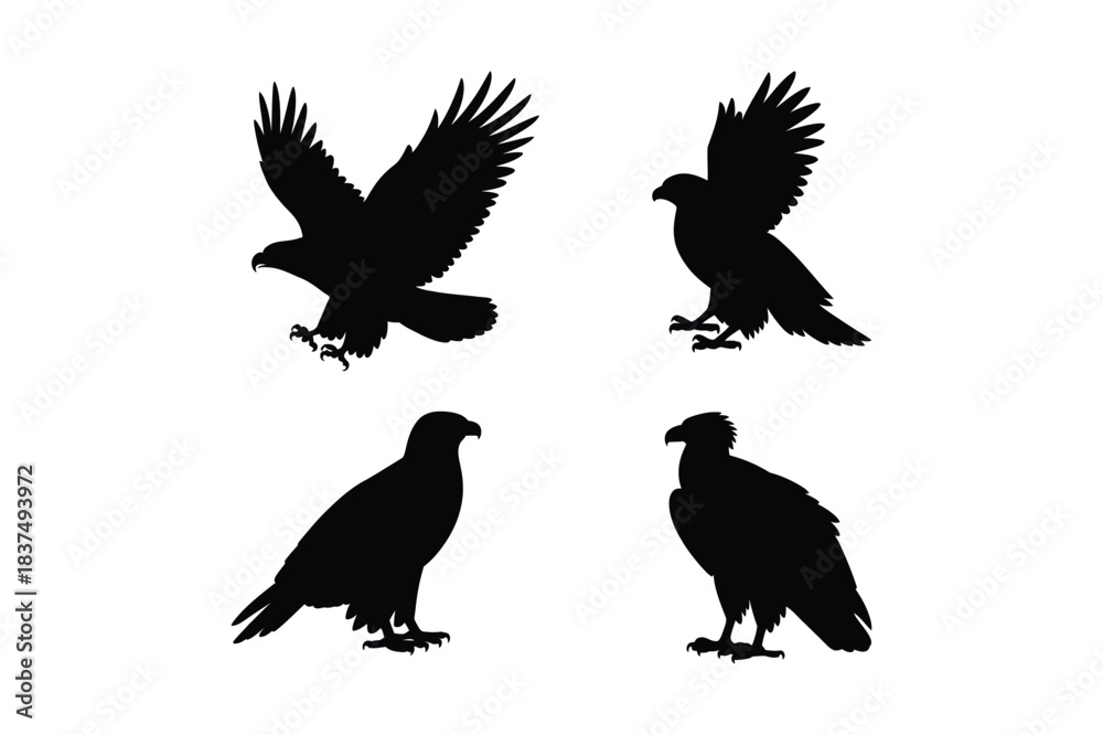 Obraz premium Set of diverse eagle silhouettes in flight and standing postures