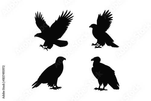 Set of diverse eagle silhouettes in flight and standing postures