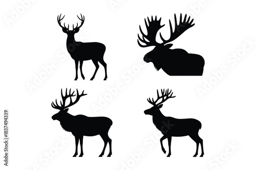 Wildlife silhouettes collection: deer, elk, moose, stag isolated