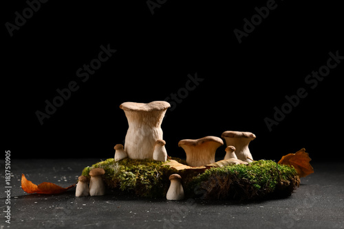 Green moss and fresh mushro...